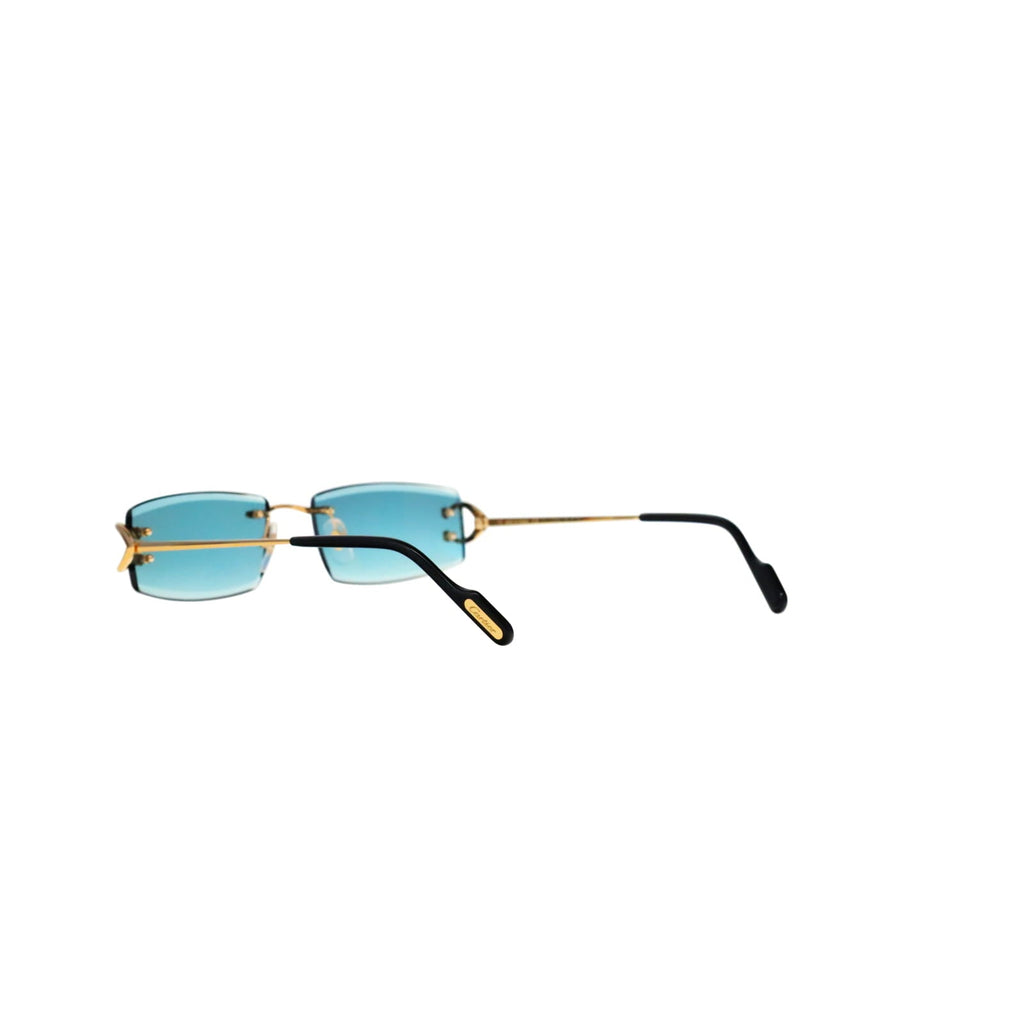CT0465S Signature C  Rectangular Sunglasses