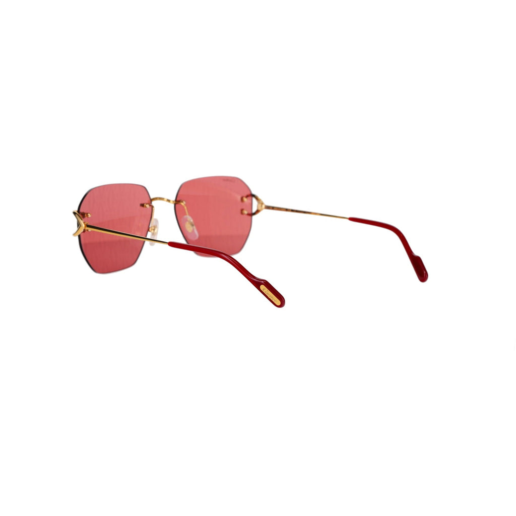 CT0394S Signature C Sunglasses