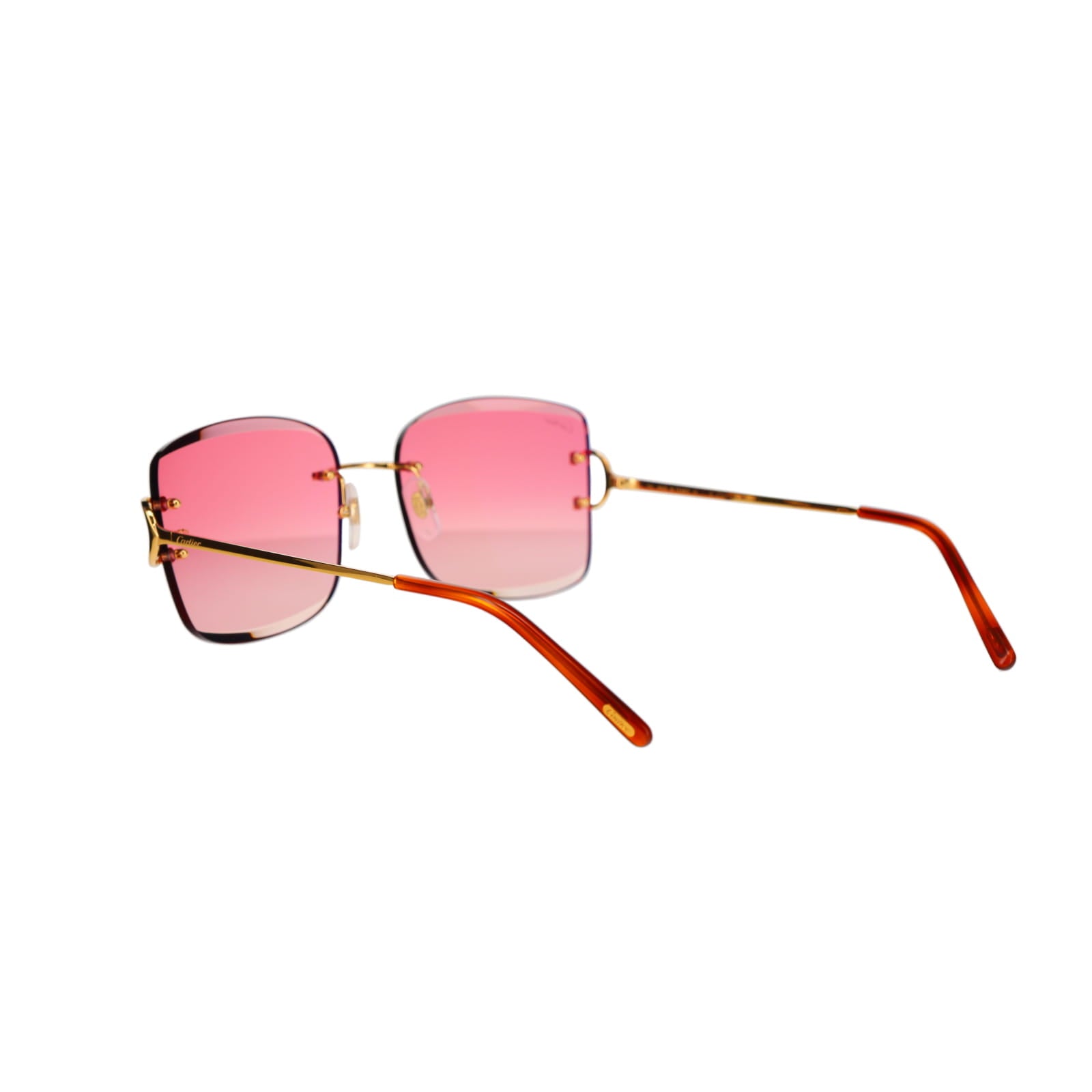 CT0007RS Signature C Sunglasses
