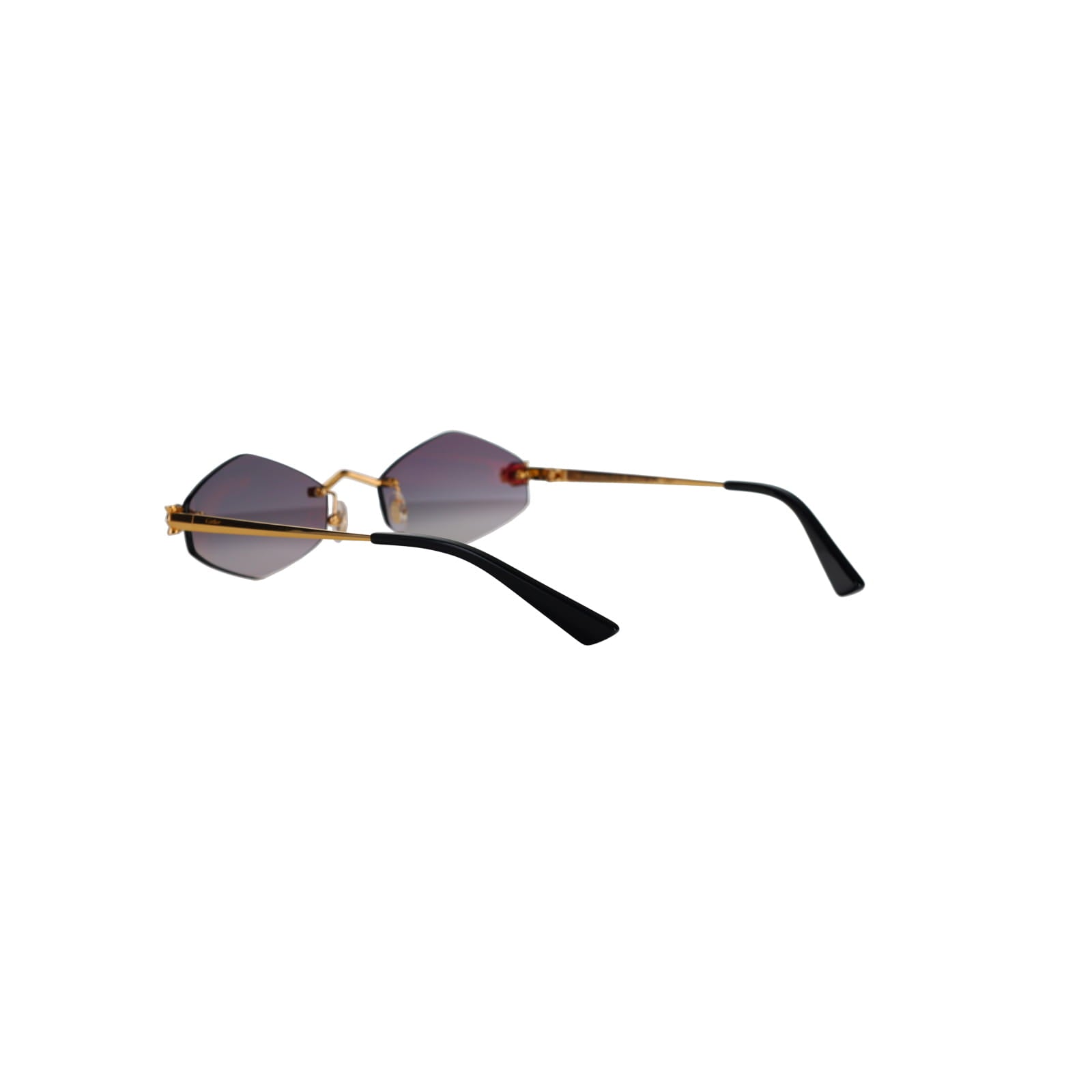 CT0433S Hexagonal Panthère Sunglasses