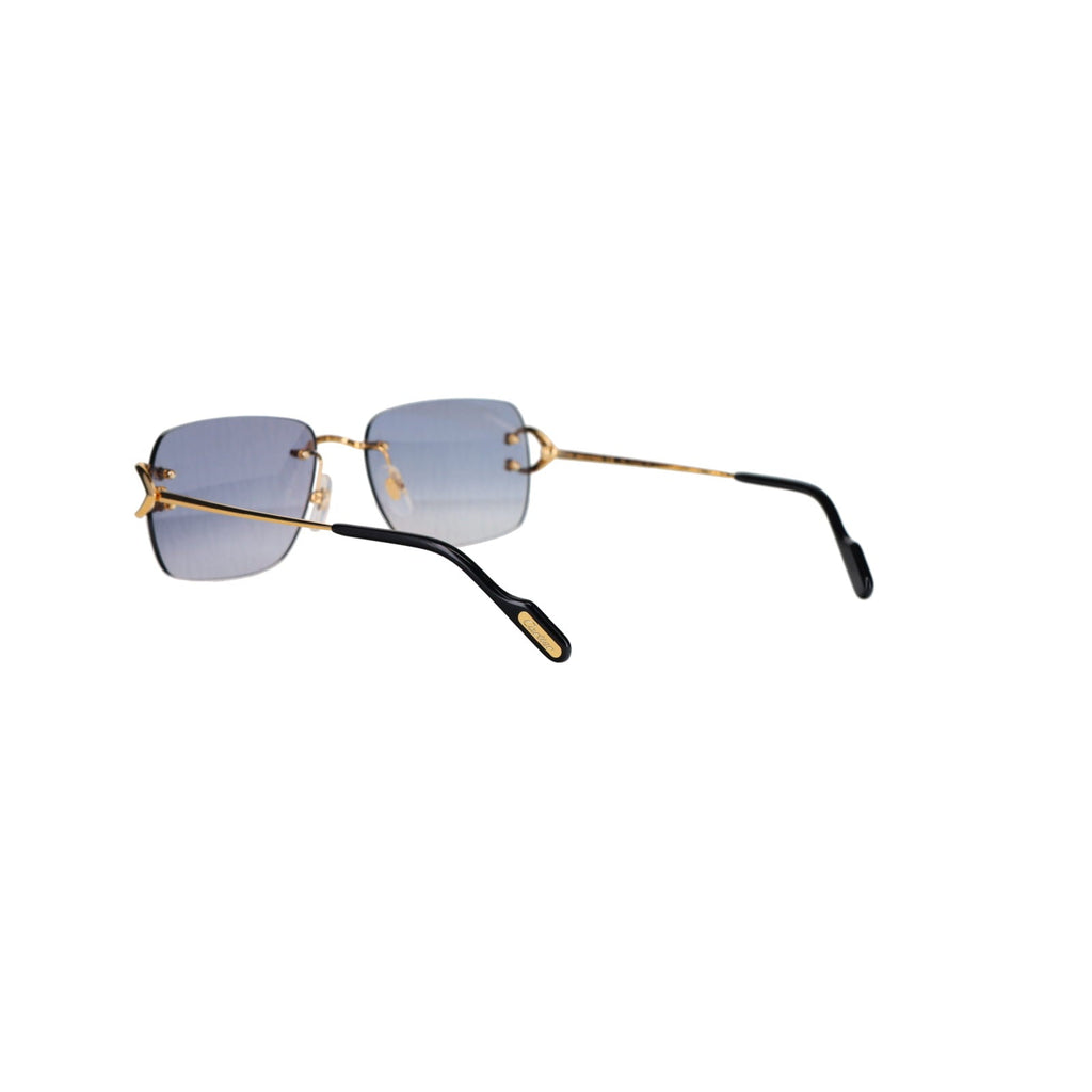 CT0330S Signature C  Sunglasses