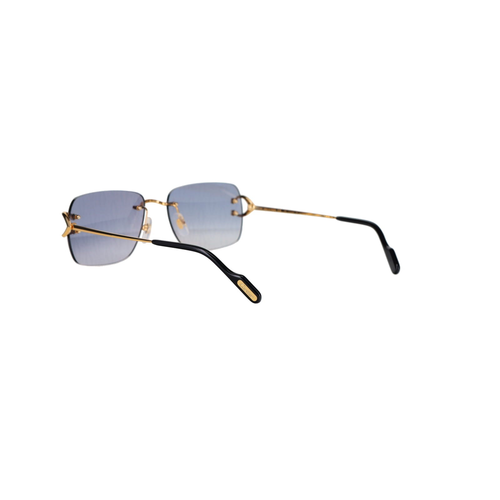 CT0330S Signature C  Sunglasses