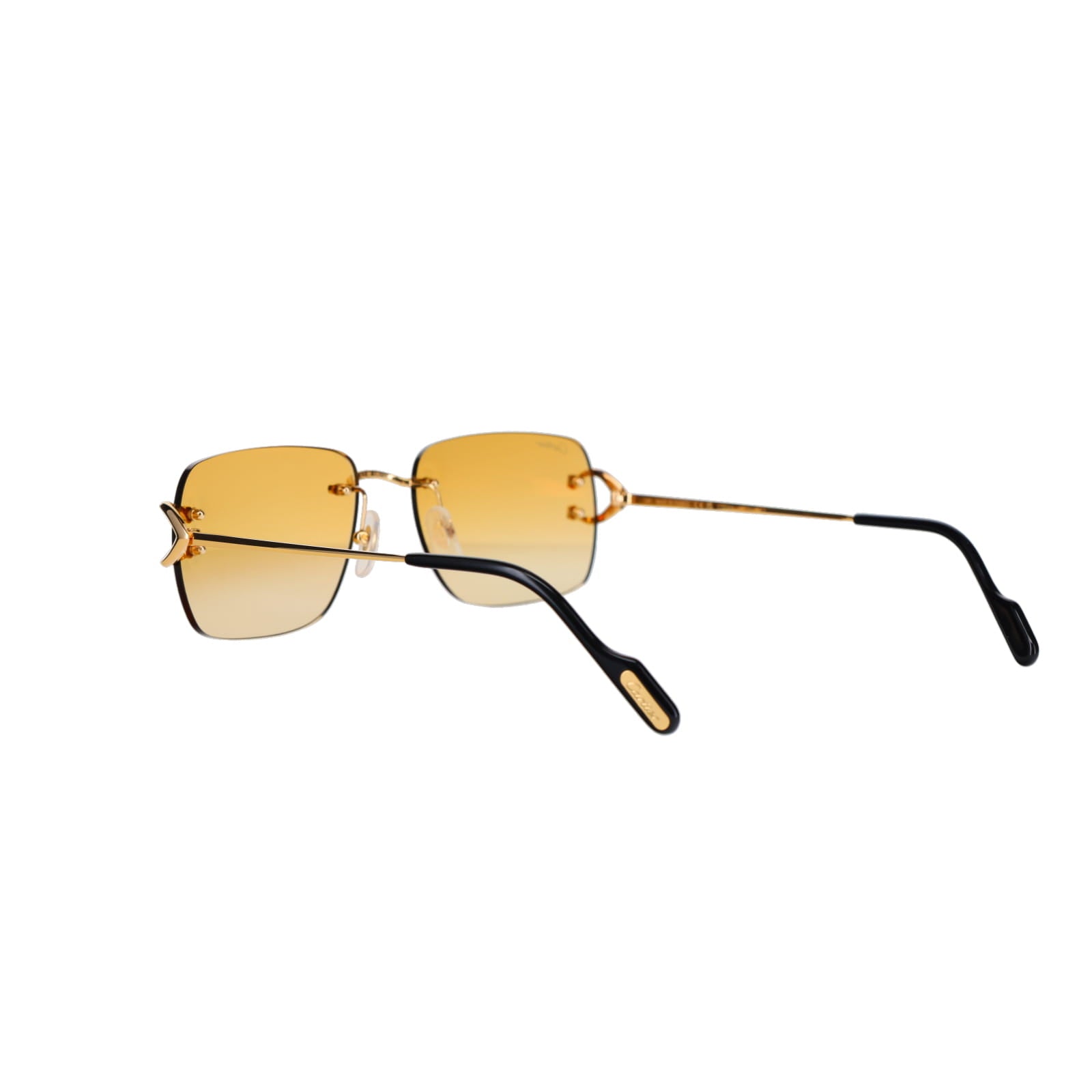 CT0330S Signature C  Sunglasses