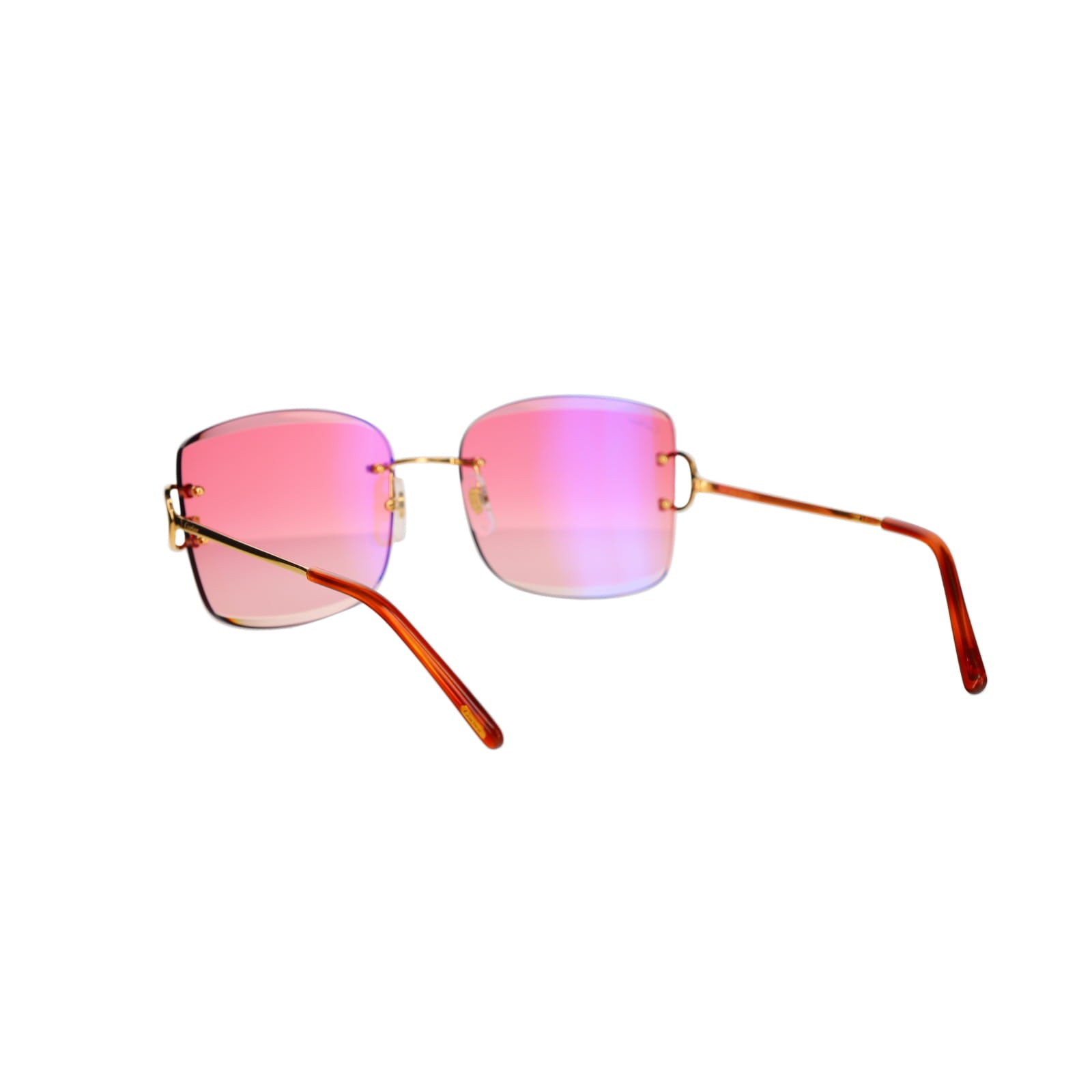 CT0007RS Signature C Sunglasses