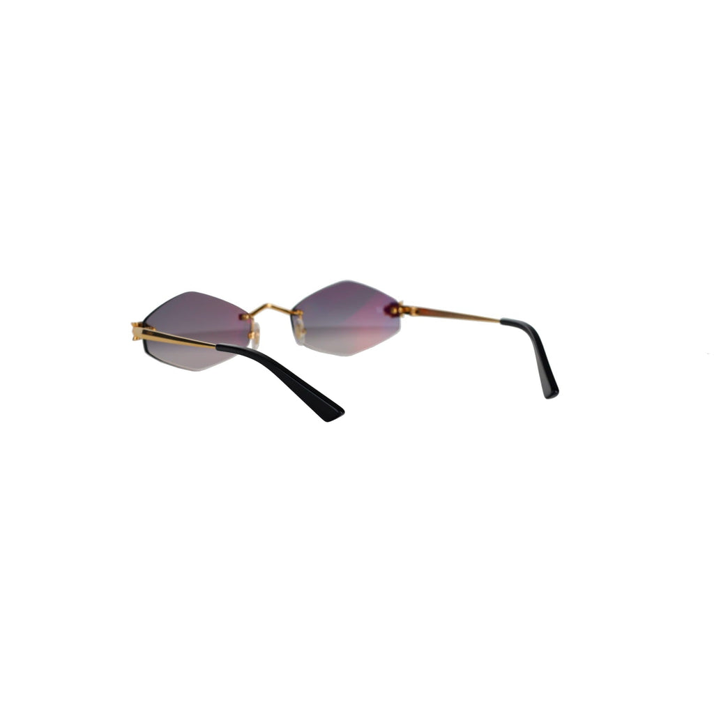 CT0433S Hexagonal Panthère Sunglasses