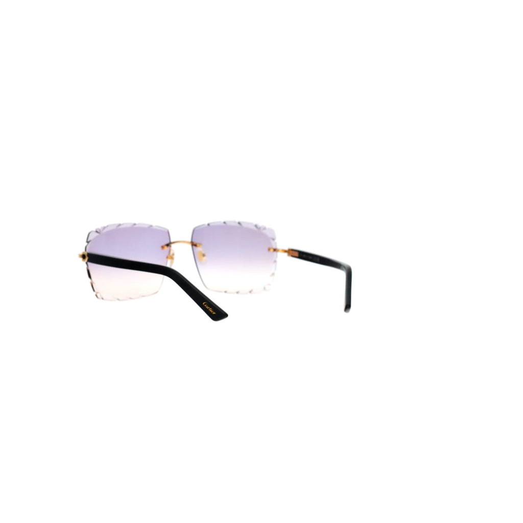 Cartier Custom C Décor Acetate Sunglasses
