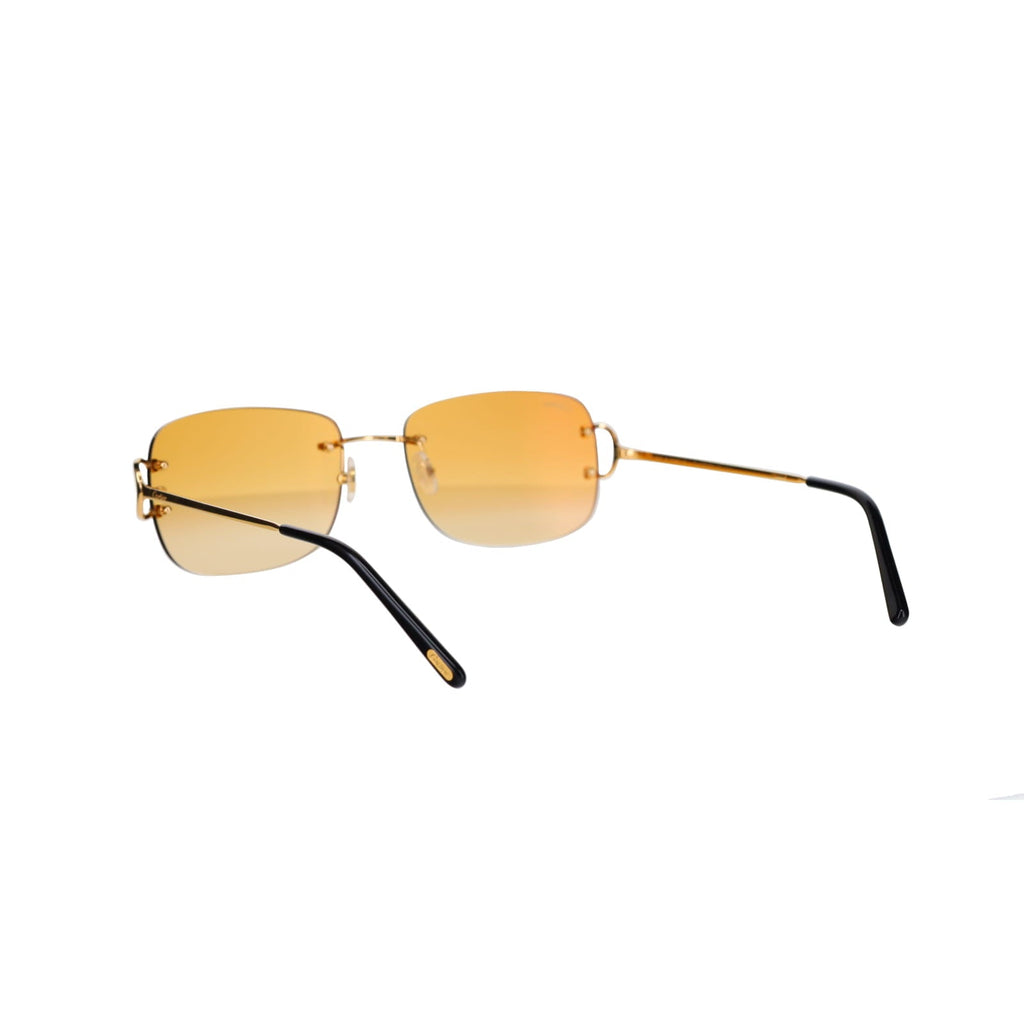 CT0011RS Signature C Sunglasses