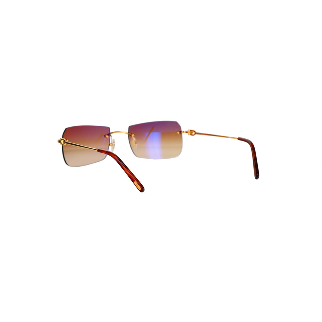 CT0006RS  C Décor Sunglasses