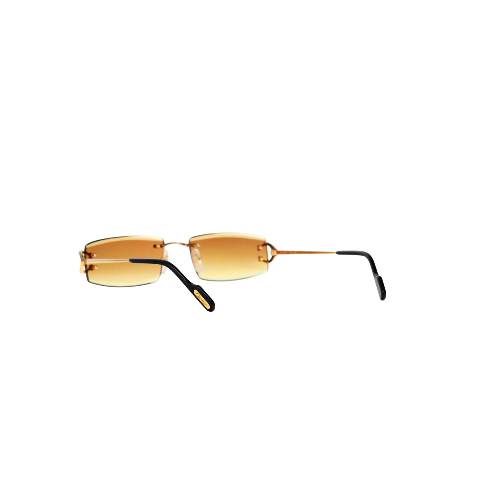 CT0465S Signature C  Rectangular Sunglasses