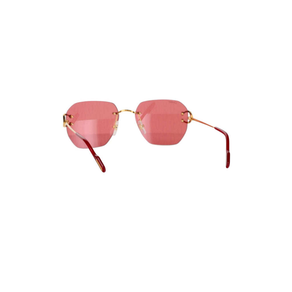 CT0394S Signature C Sunglasses