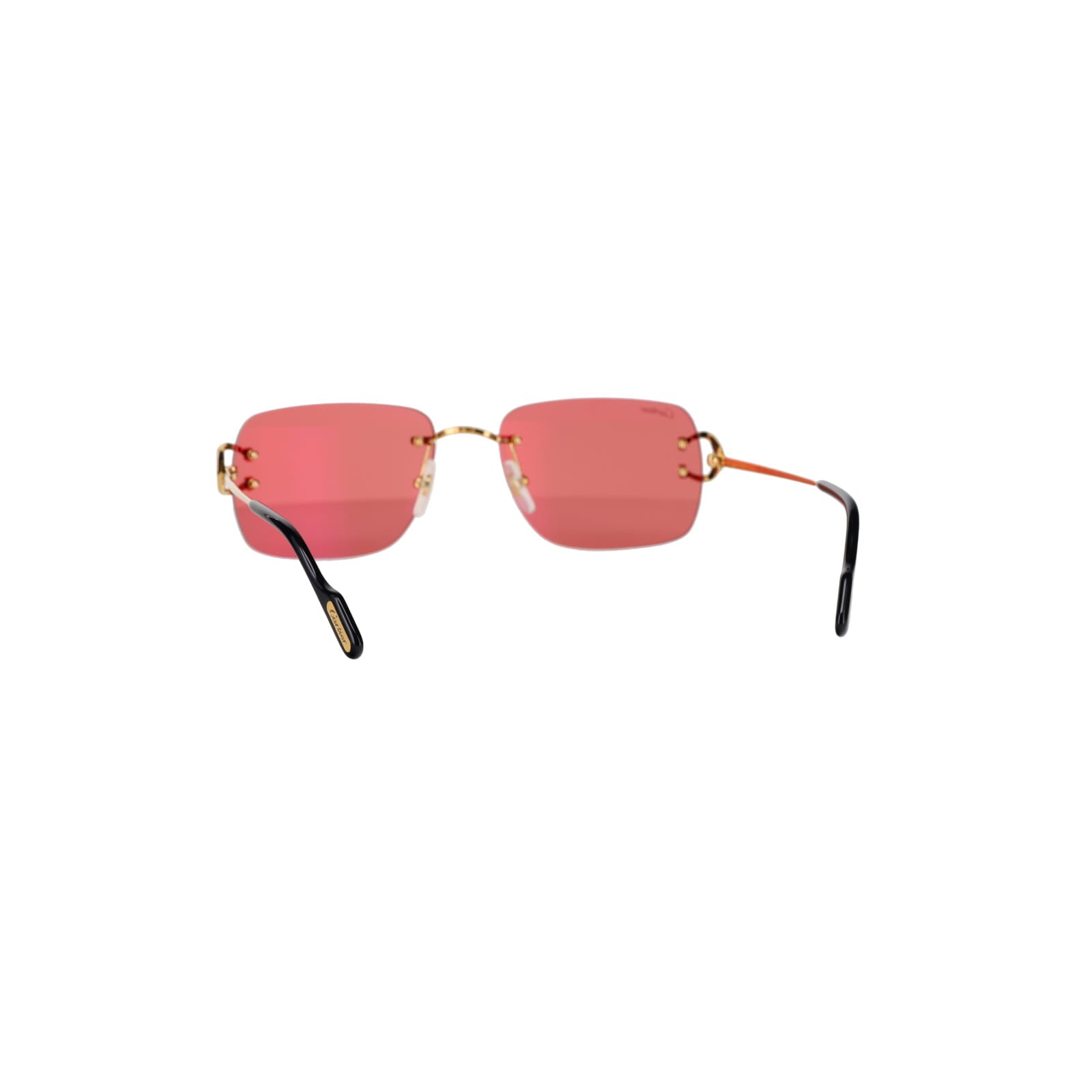 CT0330S Signature C  Sunglasses