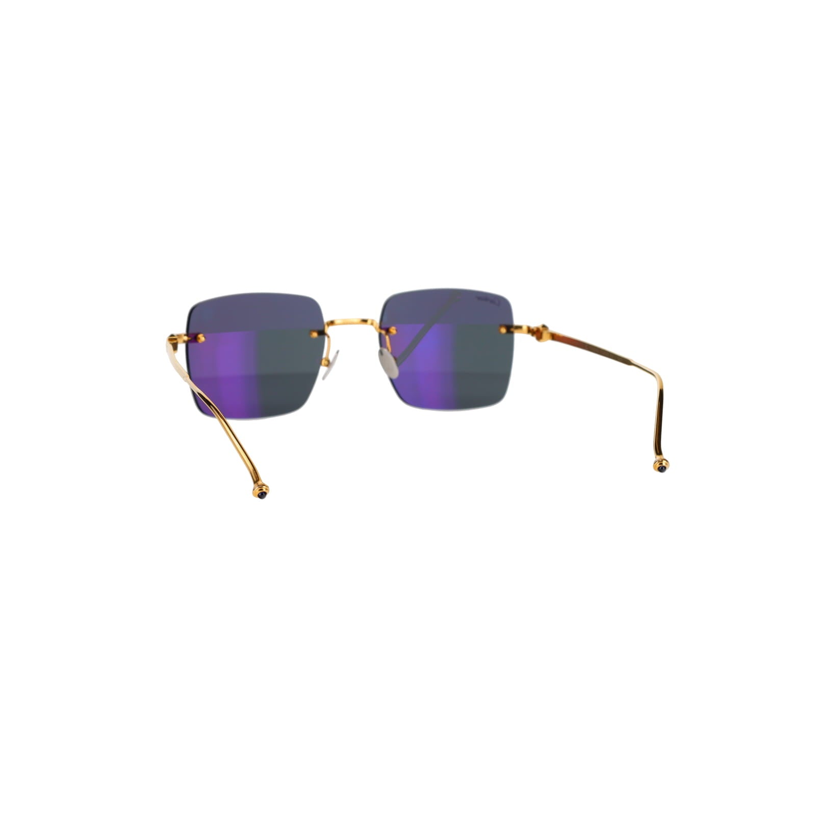 CT0403S Pasha Sunglasses