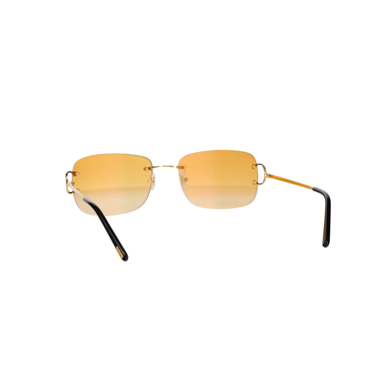 CT0011RS Signature C Sunglasses