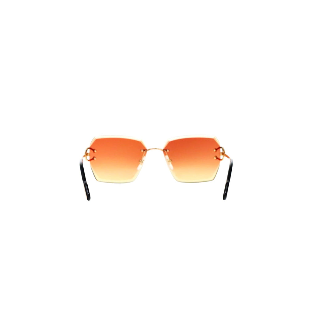 CT0466S  Signature C Sunglasses