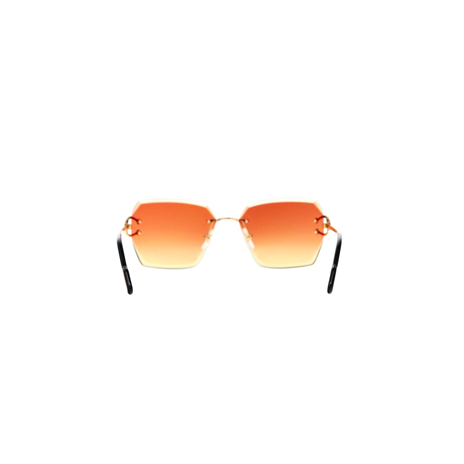 CT0466S  Signature C Sunglasses