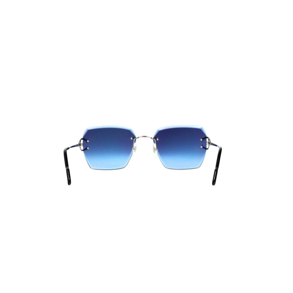 CT0466S  Signature C Sunglasses