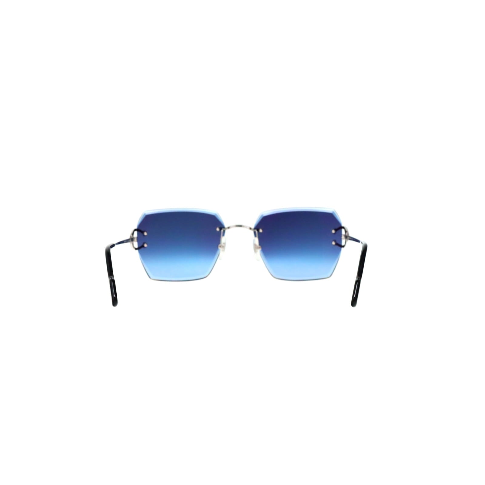 CT0466S  Signature C Sunglasses