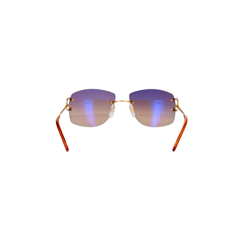 CT0008RS Signature C Sunglasses