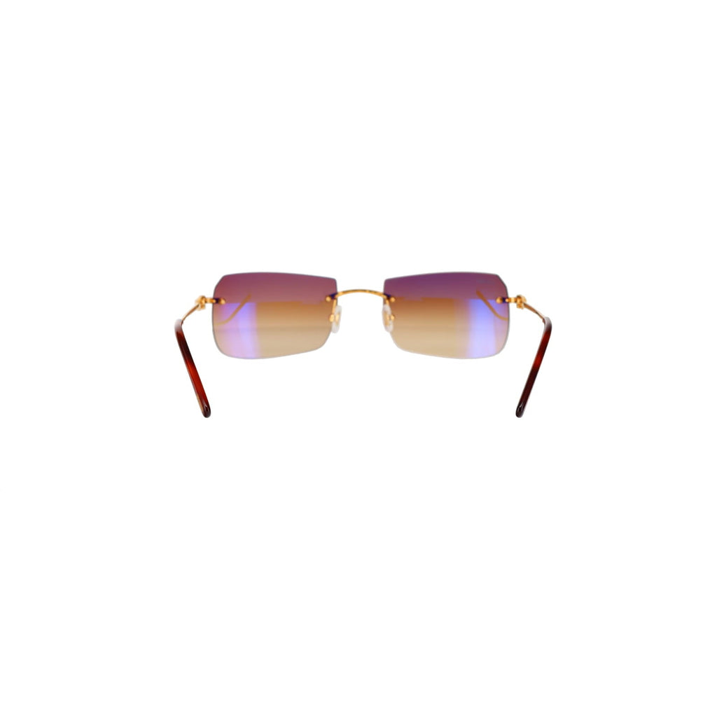 CT0006RS  C Décor Sunglasses