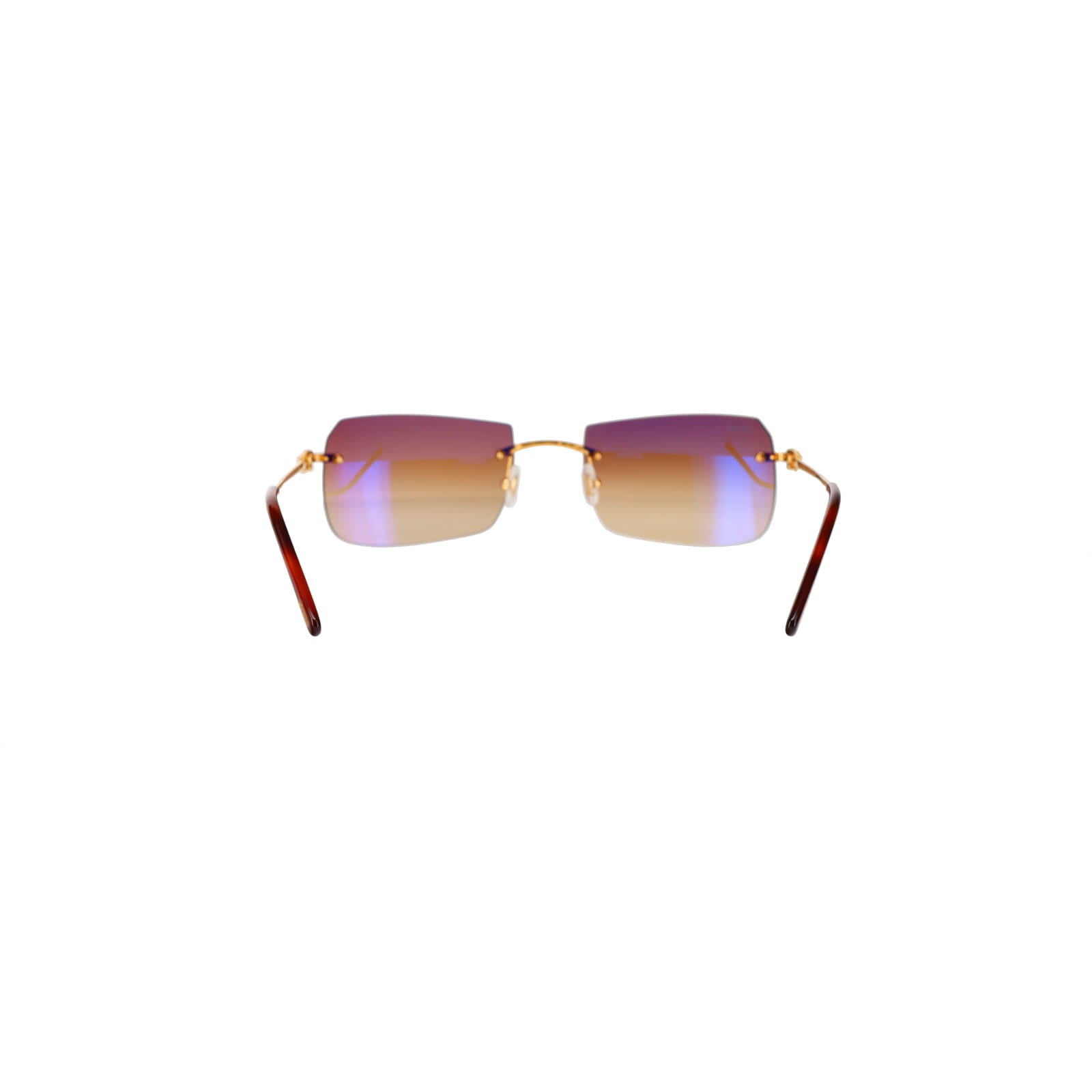 CT0006RS  C Décor Sunglasses