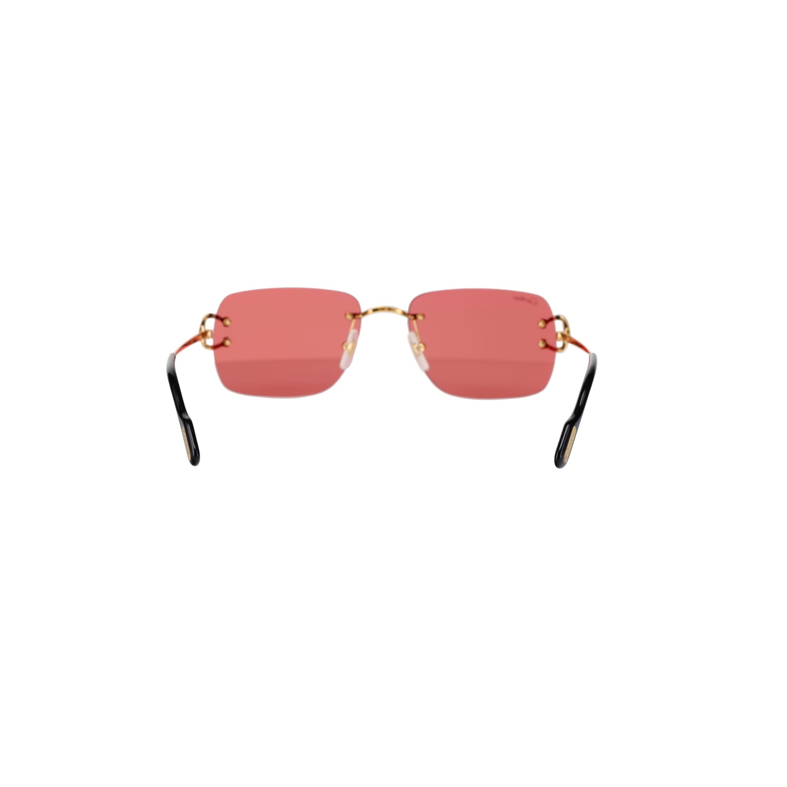 CT0330S Signature C  Sunglasses