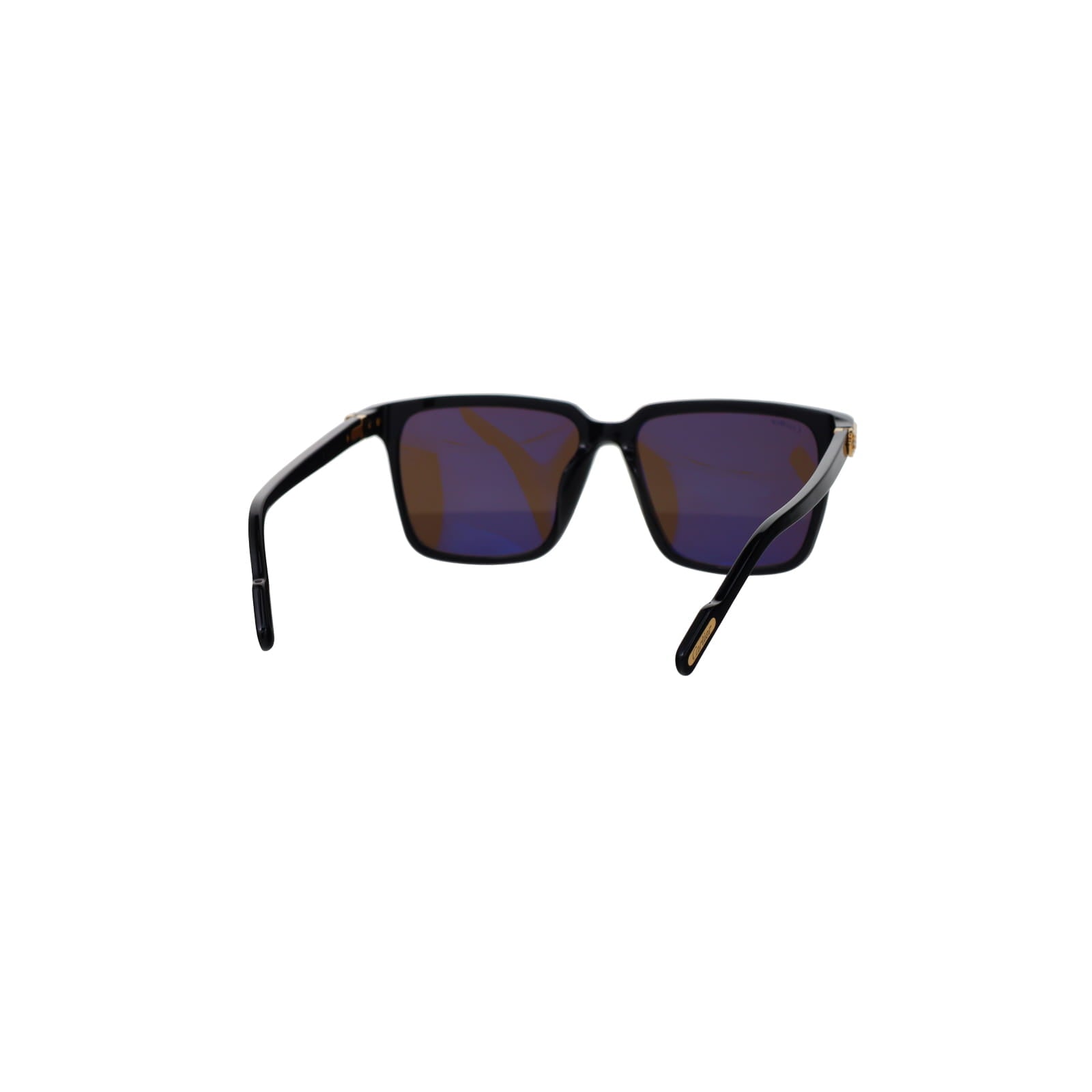 CT0366S Contemporary Acetate Sunglasses