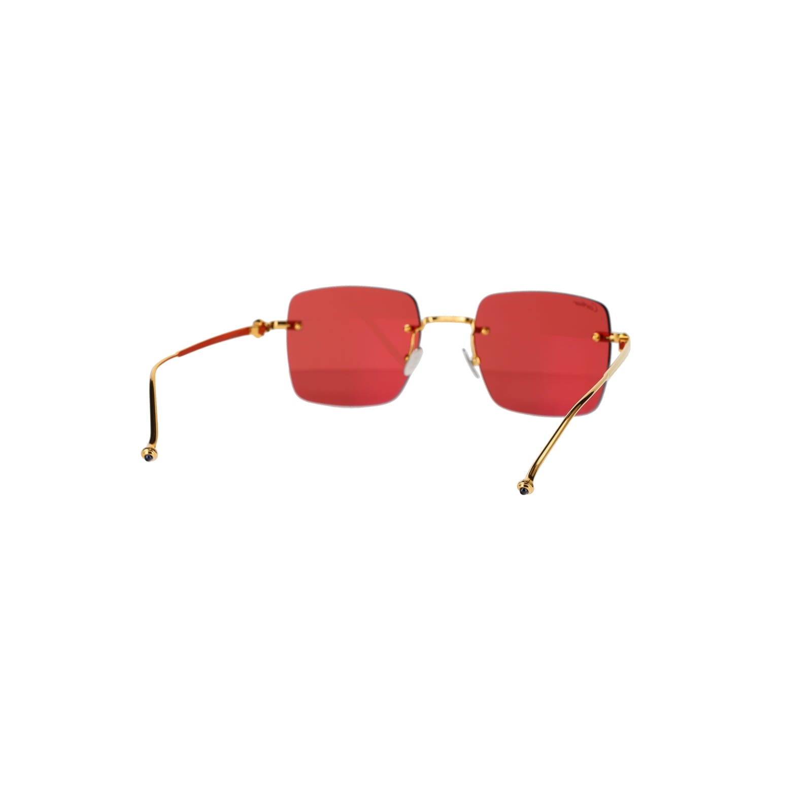 CT0403S Pasha Sunglasses