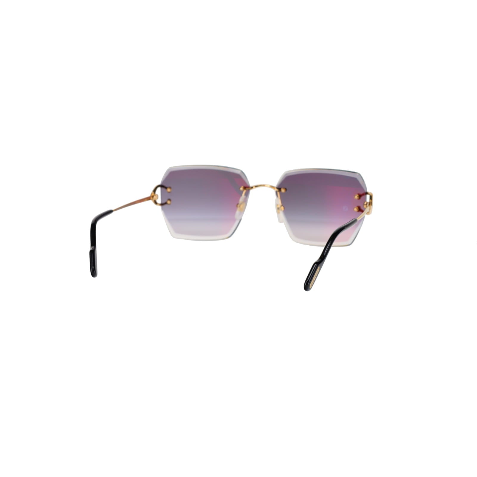 CT0466S  Signature C Sunglasses