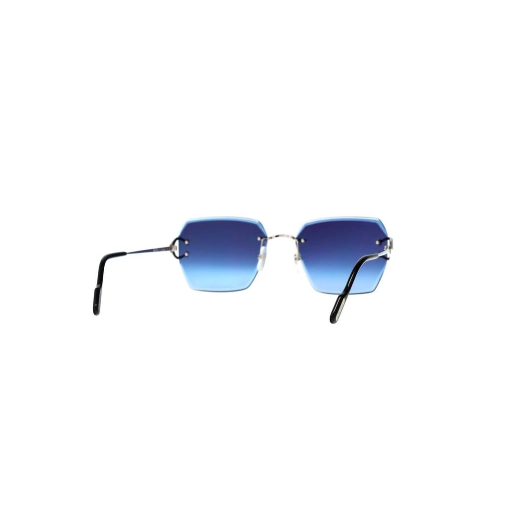 CT0466S  Signature C Sunglasses