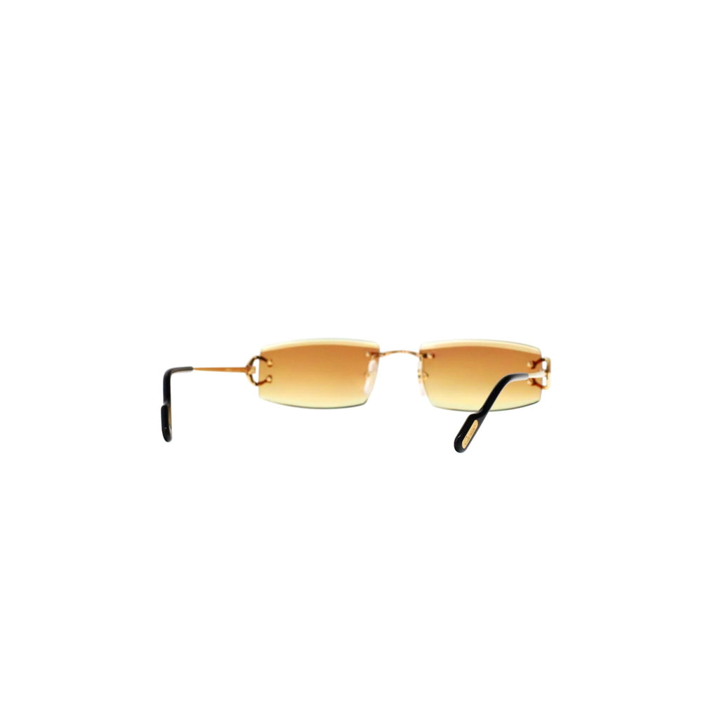 CT0465S Signature C  Rectangular Sunglasses