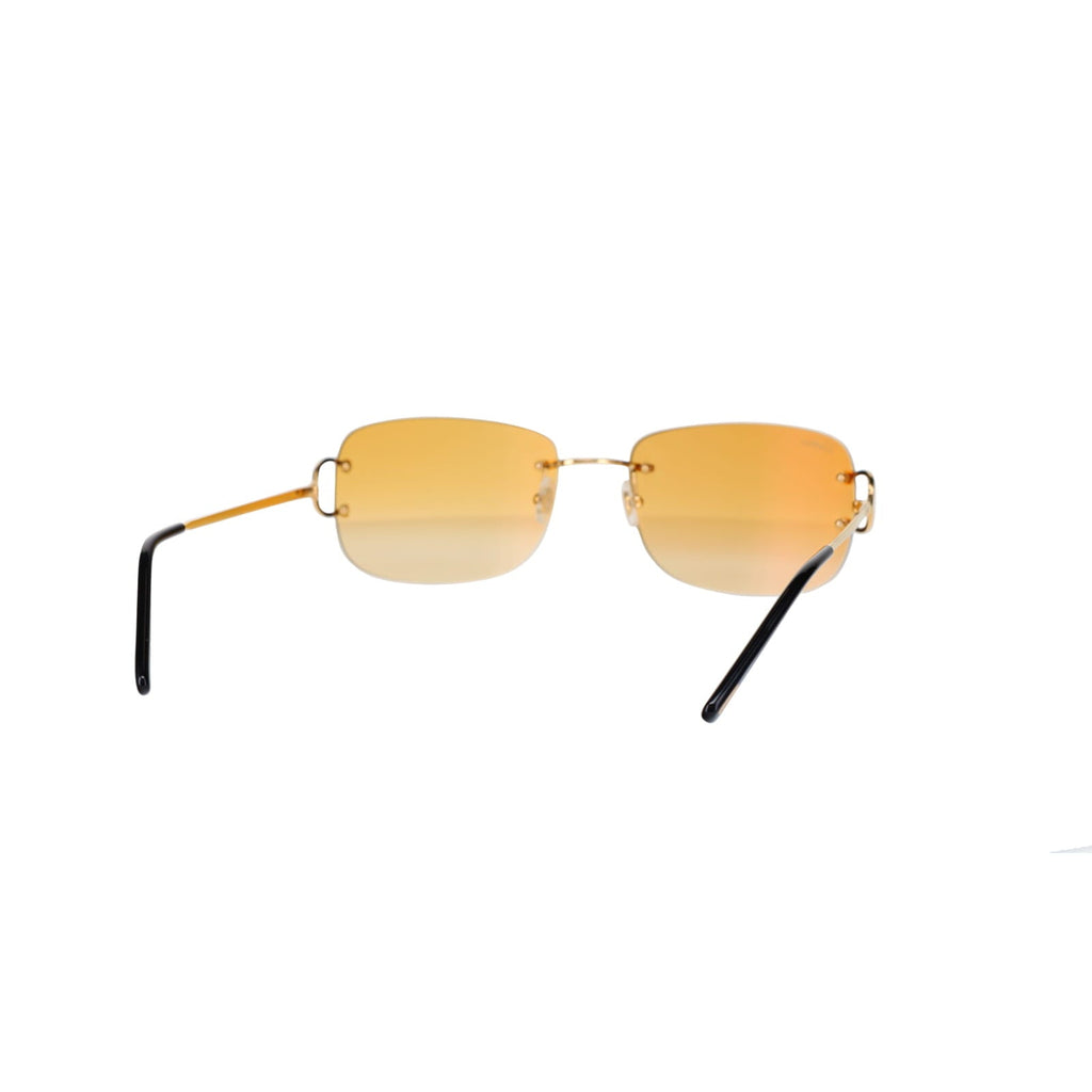CT0011RS Signature C Sunglasses