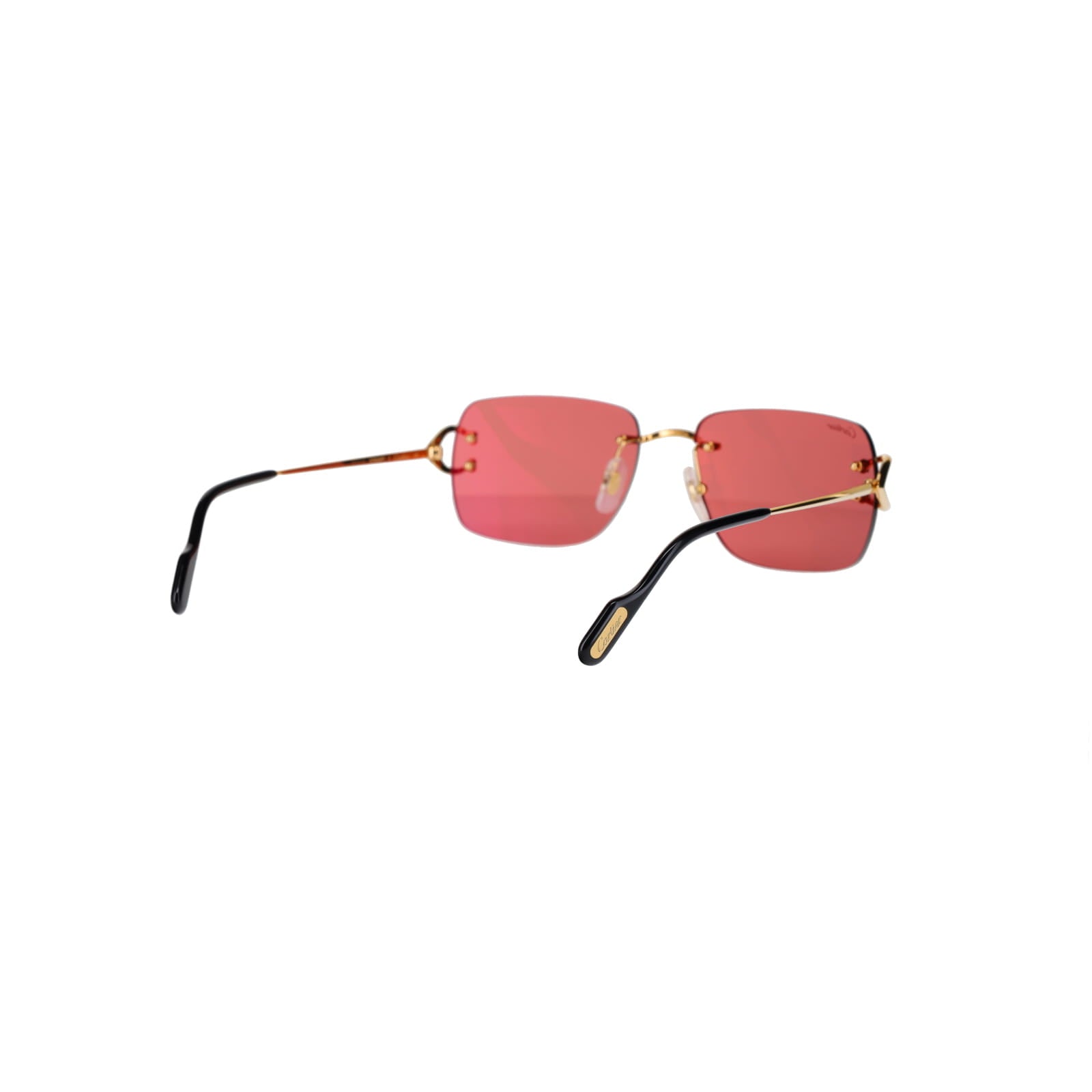 CT0330S Signature C  Sunglasses