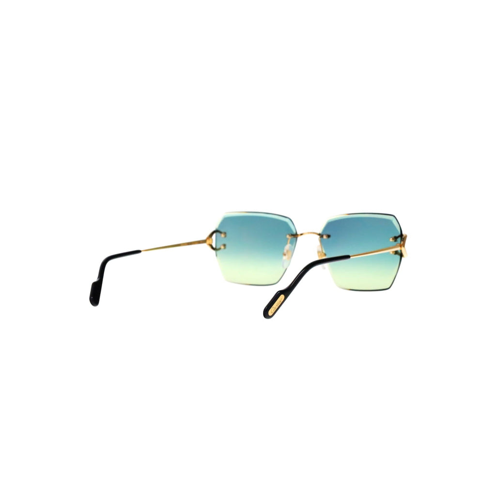 CT0466S  Signature C Sunglasses