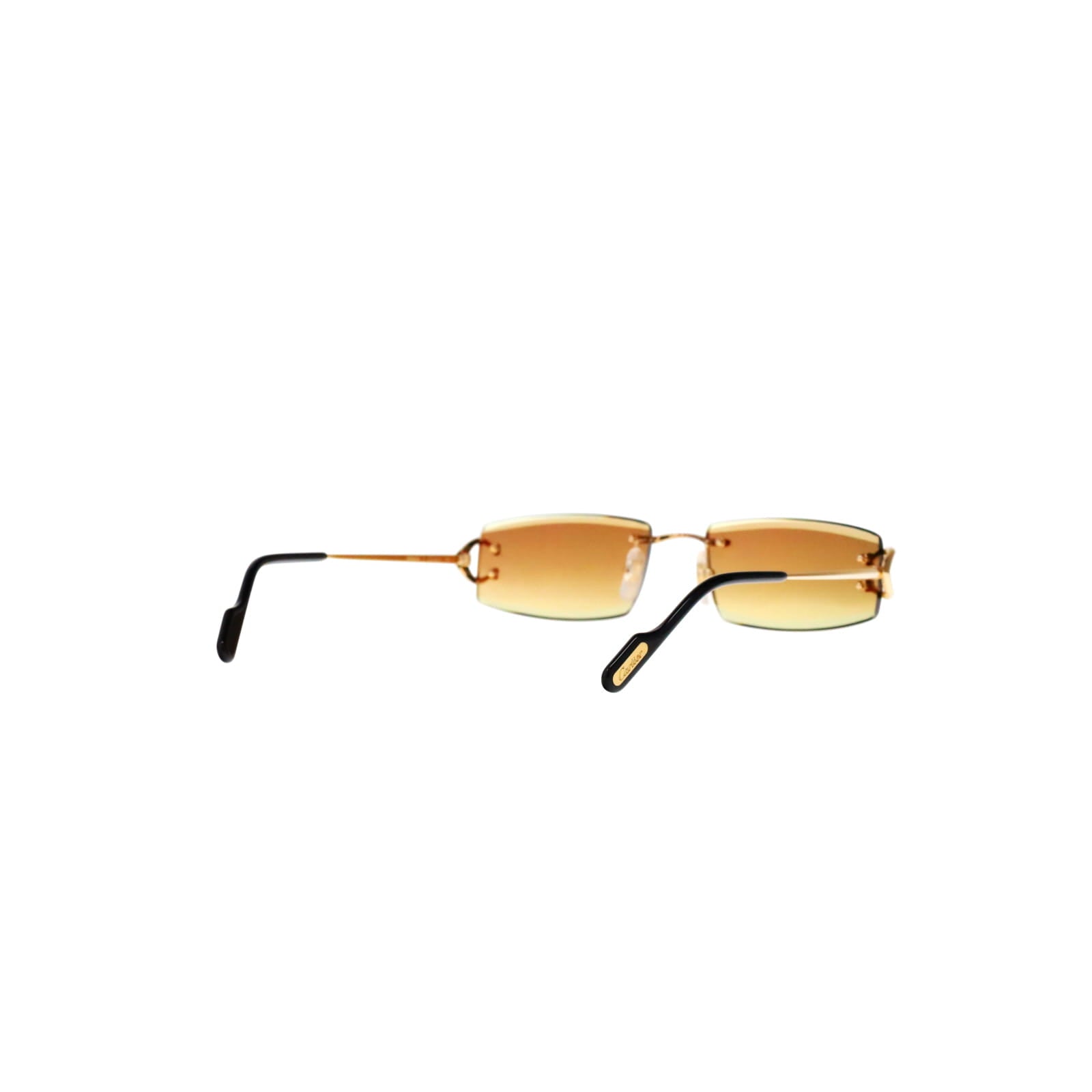 CT0465S Signature C  Rectangular Sunglasses