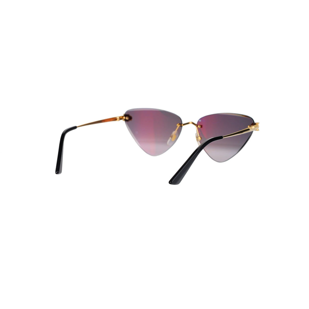 CT0399S Geometric Panthère Sunglasses