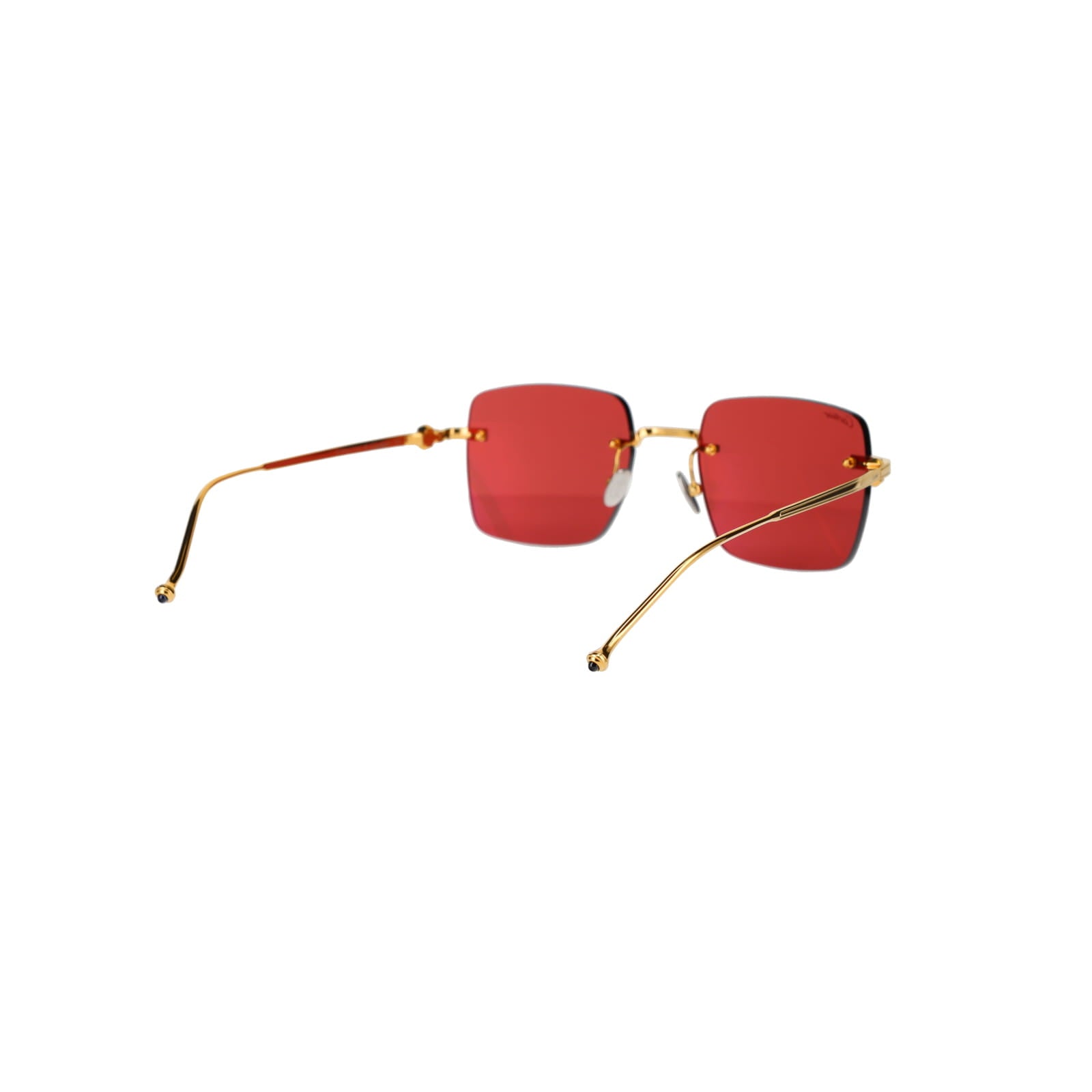 CT0403S Pasha Sunglasses