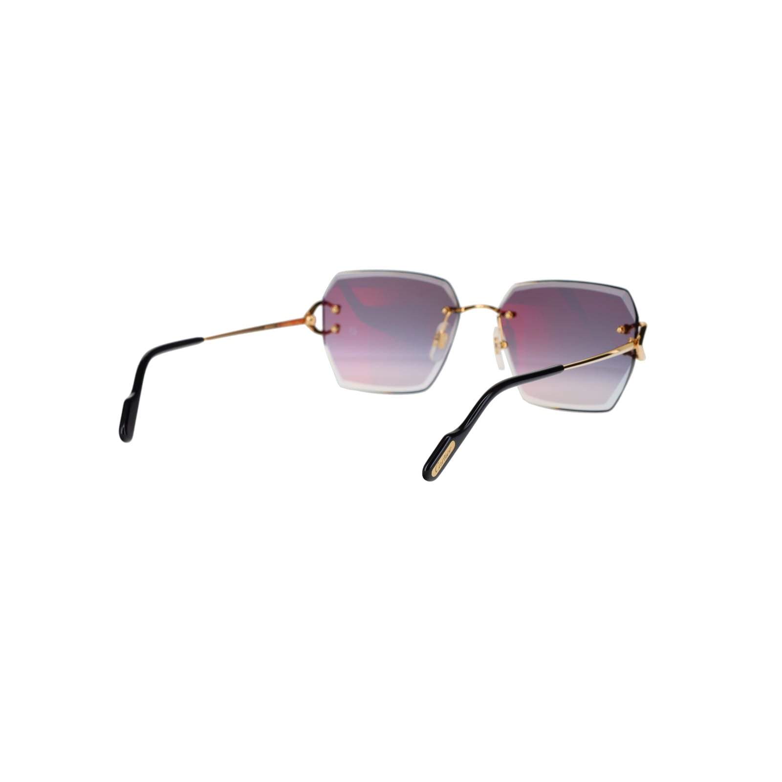 CT0466S  Signature C Sunglasses
