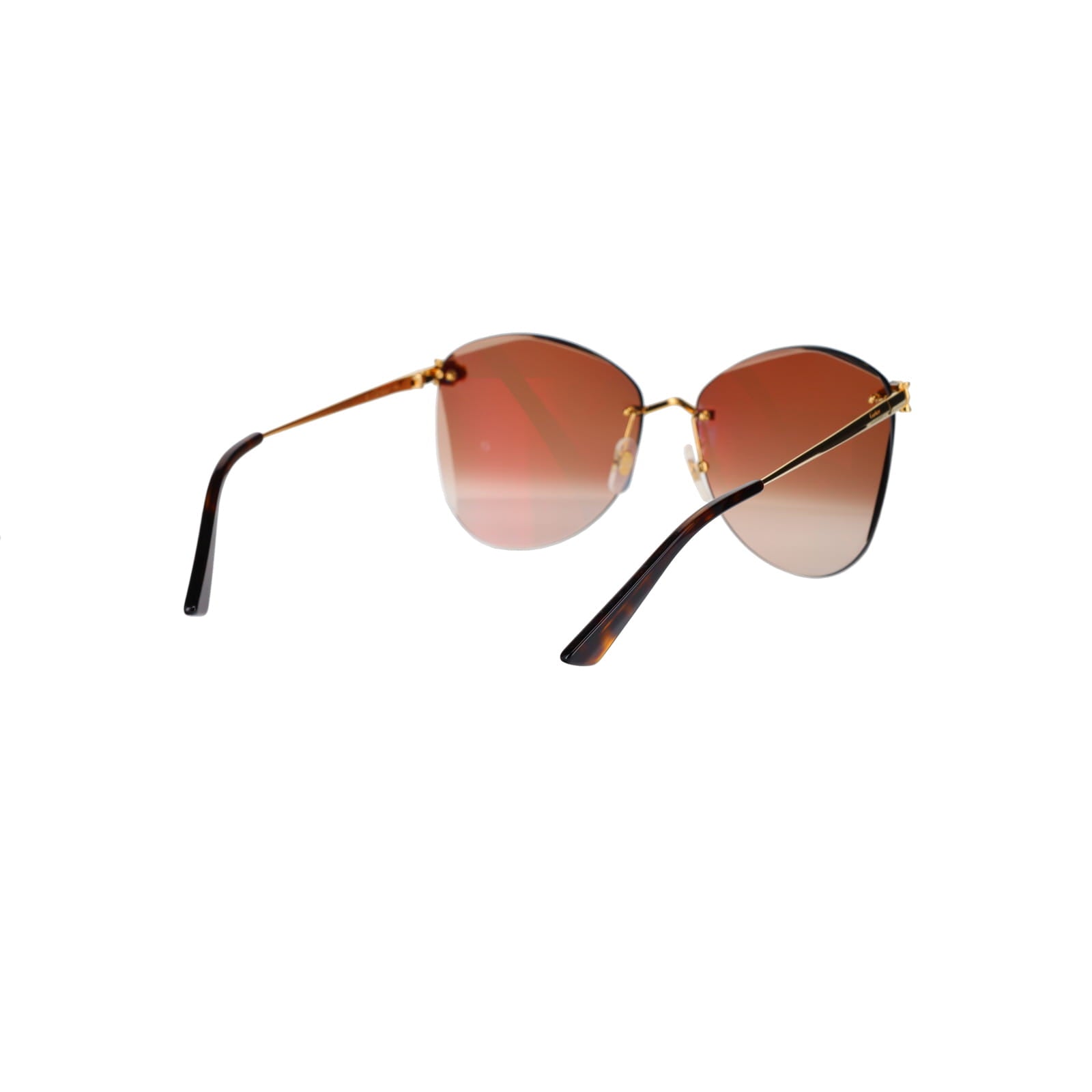 CT0398S Cat-eye Panthère Sunglasses