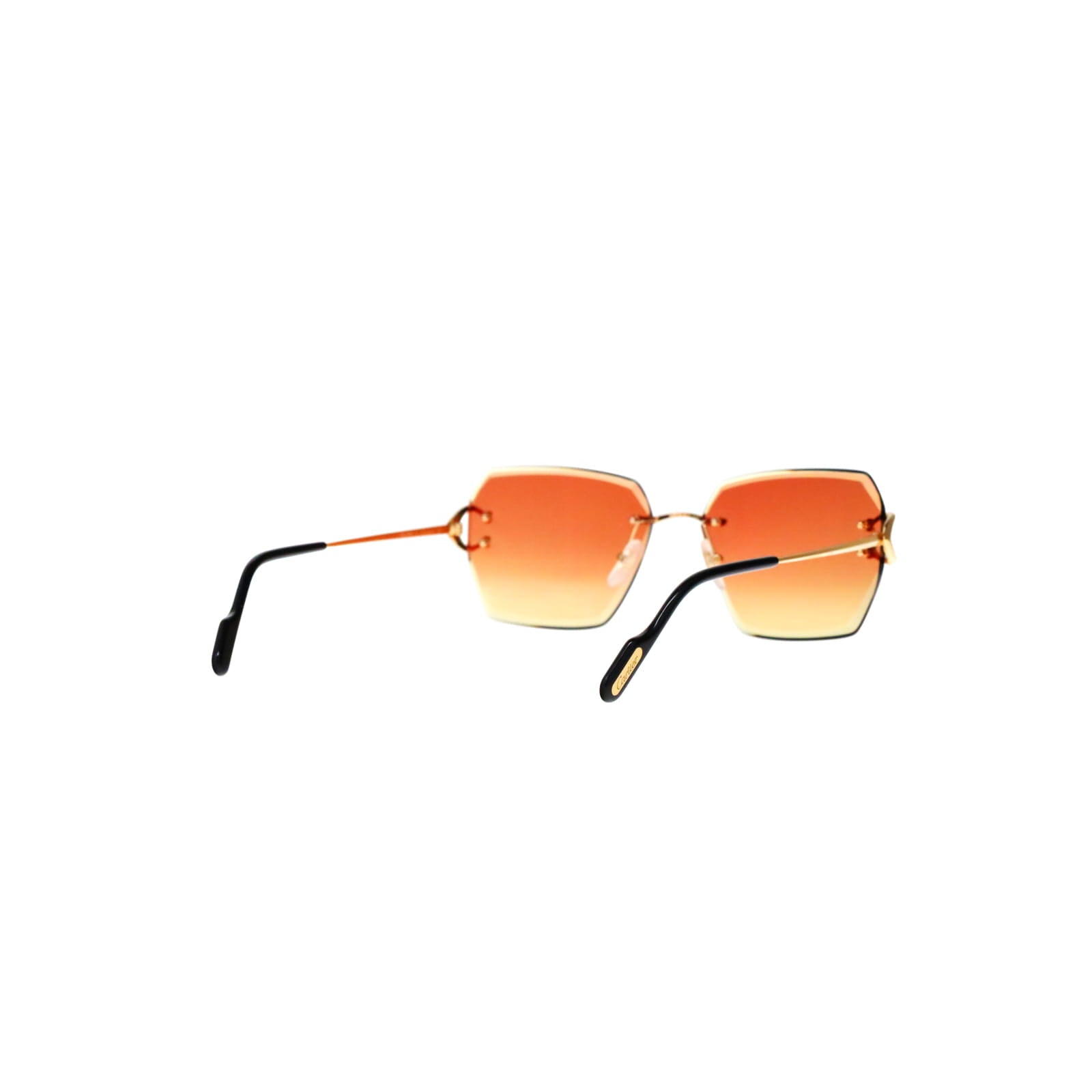 CT0466S  Signature C Sunglasses
