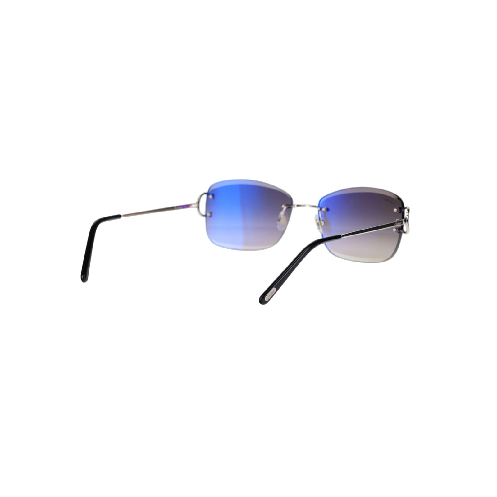 CT0010RS Signature C Sunglasses