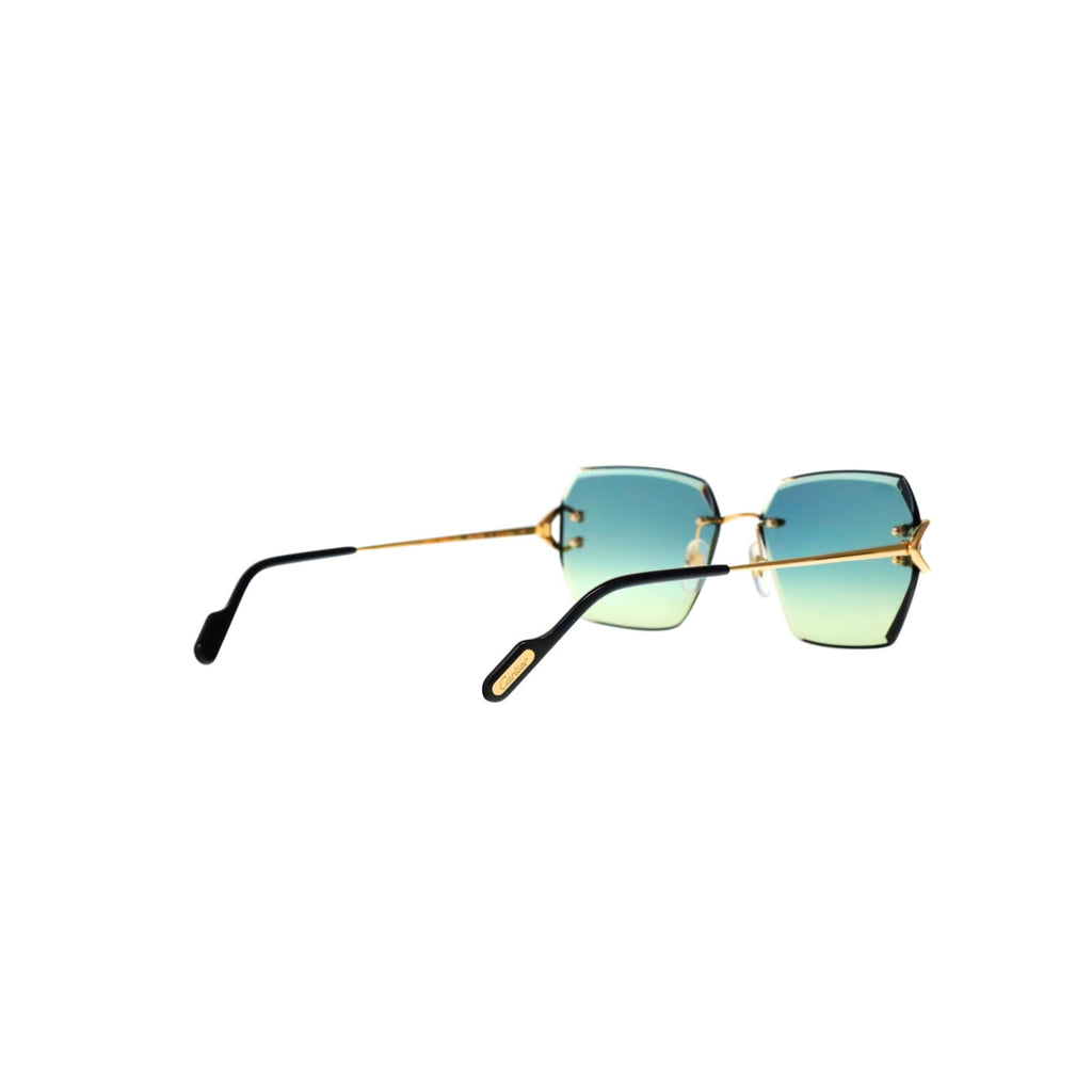 CT0466S  Signature C Sunglasses