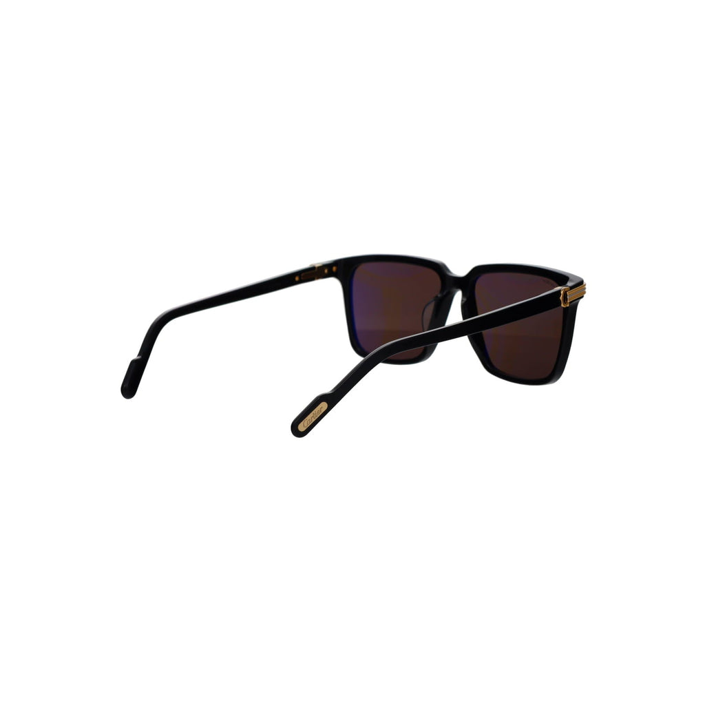 CT0366S Contemporary Acetate Sunglasses
