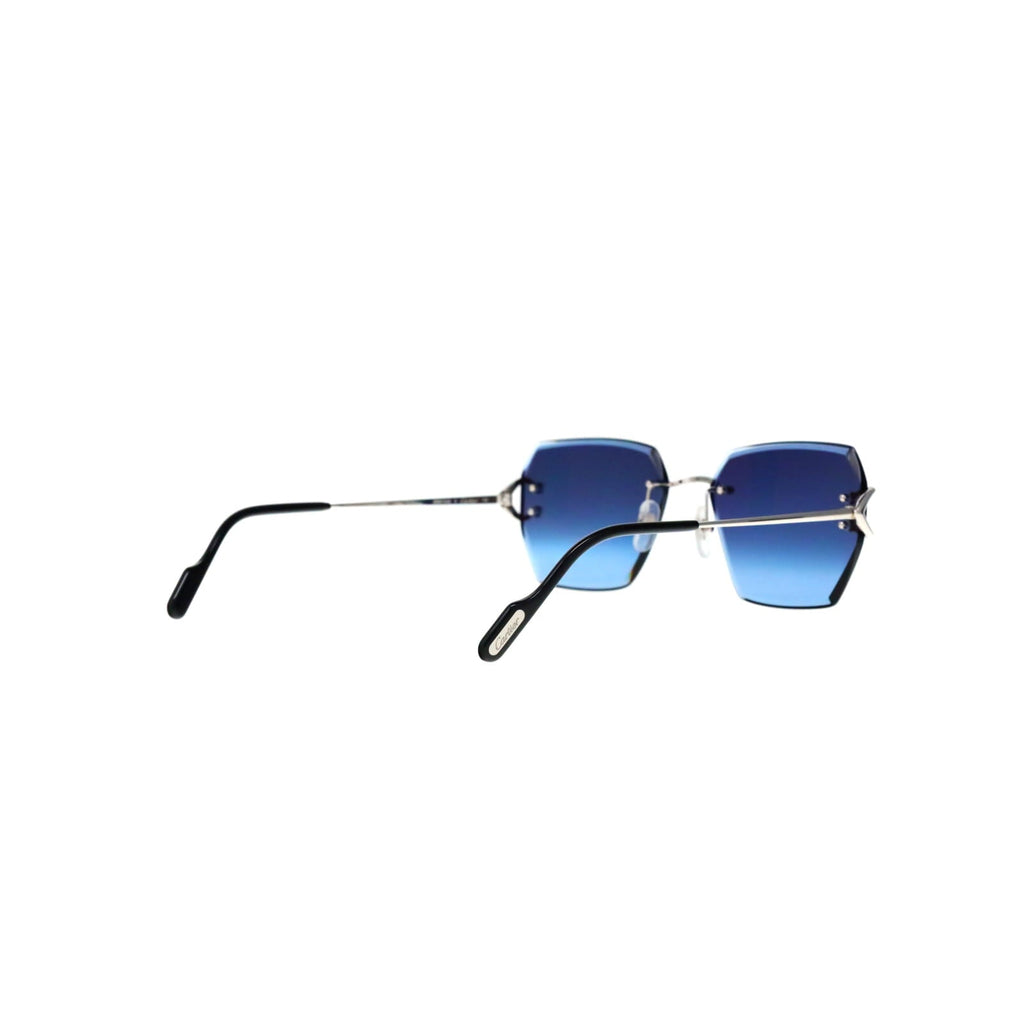 CT0466S  Signature C Sunglasses