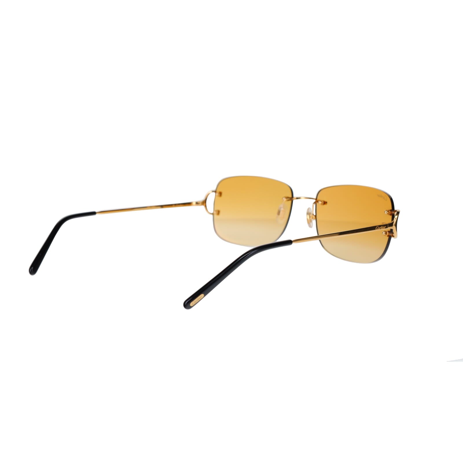CT0011RS Signature C Sunglasses