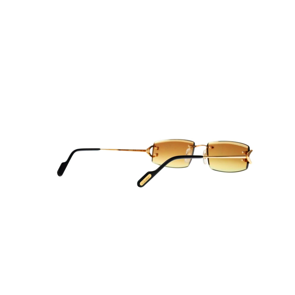 CT0465S Signature C  Rectangular Sunglasses