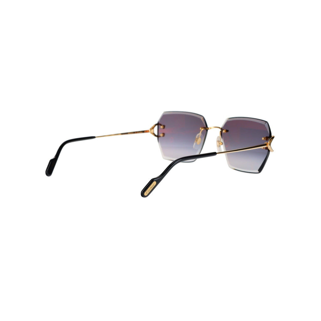 CT0466S  Signature C Sunglasses