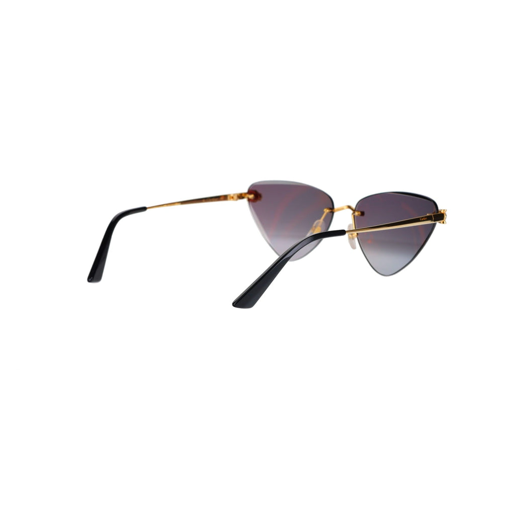 CT0399S Geometric Panthère Sunglasses