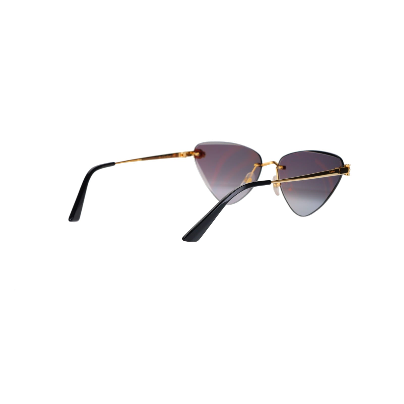 CT0399S Geometric Panthère Sunglasses
