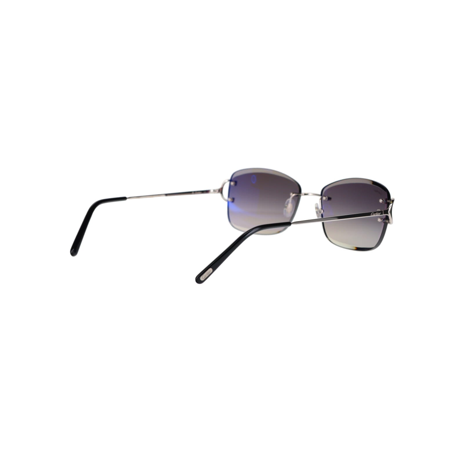 CT0010RS Signature C Sunglasses