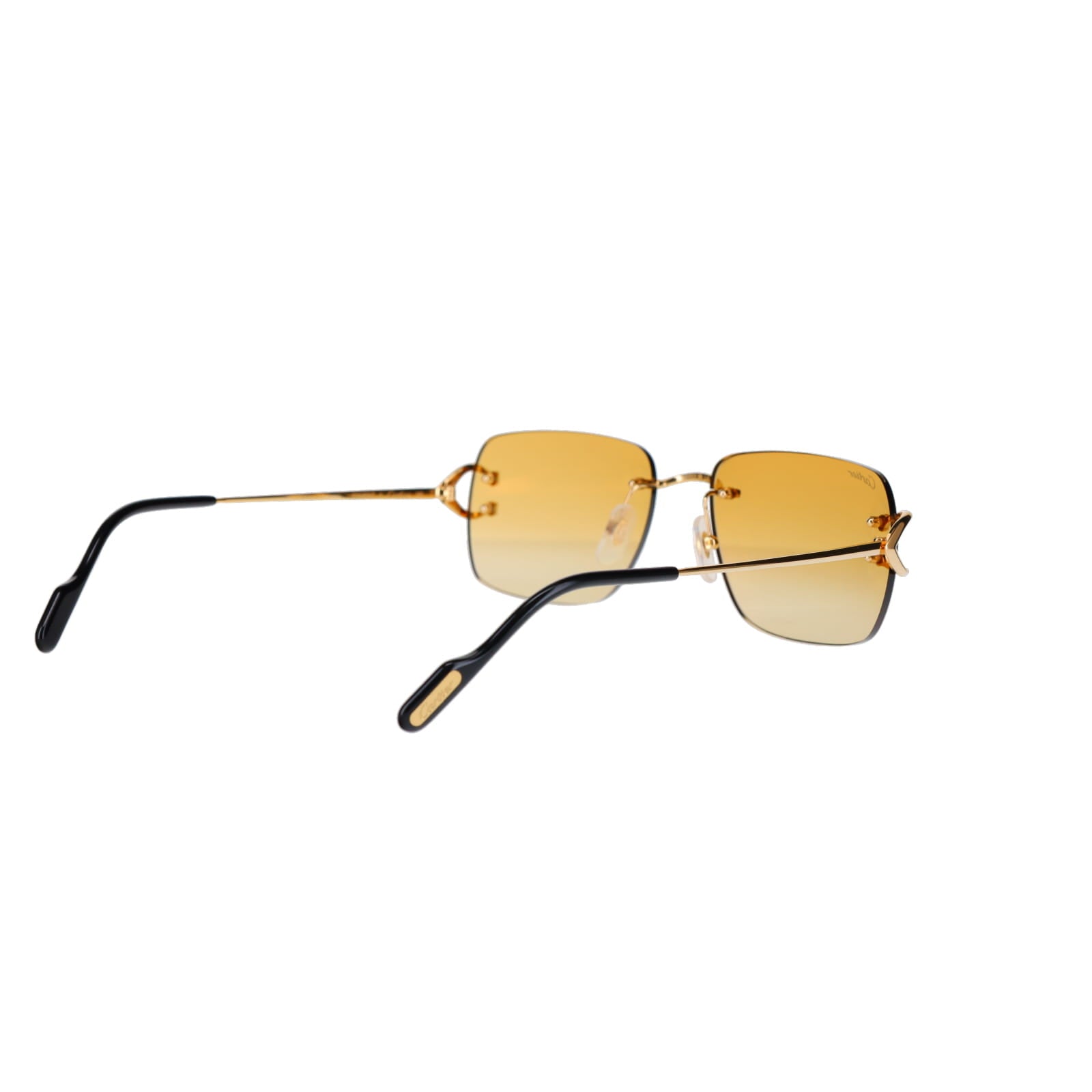 CT0330S Signature C  Sunglasses